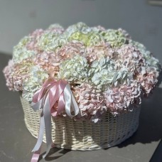 Blush Hydrangea Basket