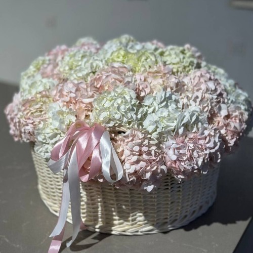 Blush Hydrangea Basket