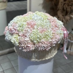 Blush Hydrangea Basket