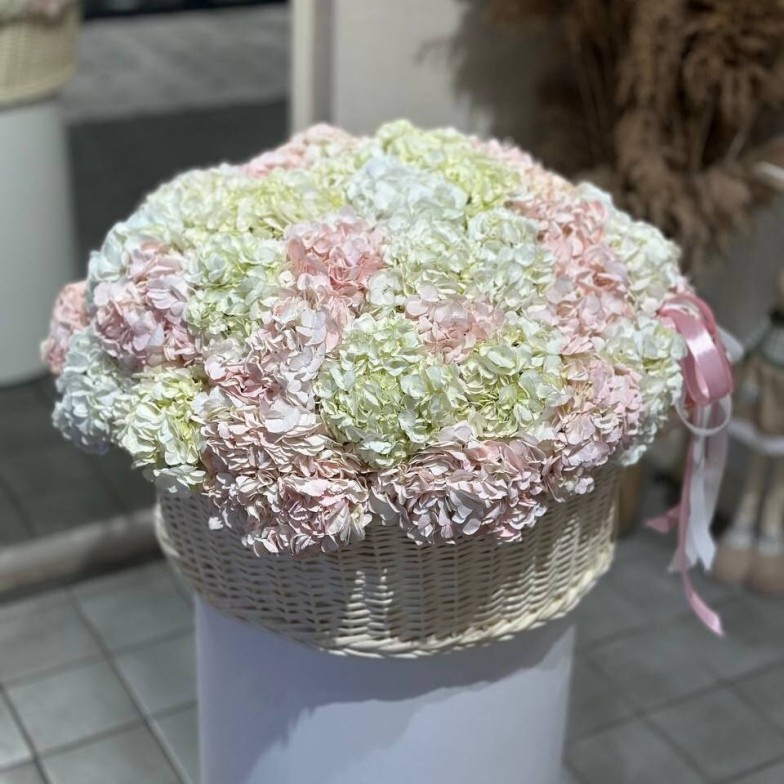 Blush Hydrangea Basket