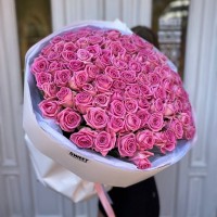  Akva Trandafiri Albaștri