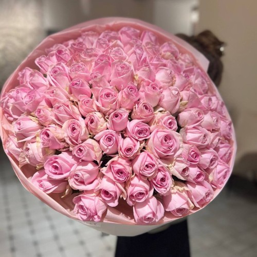  Trandafiri Roz Heidi