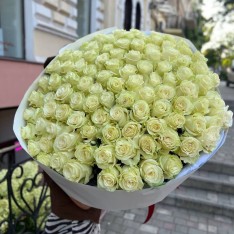 Trandafiri Albi Mondial