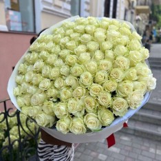 Trandafiri Albi Mondial