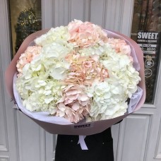 Buchet Hortensia Albă și Roz – 11 buc 
