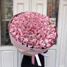 Memory Lane Trandafiri 