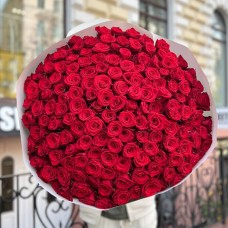 Buchet Premium de Trandafiri Roșii cu Livrare Rapidă în București