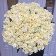 Avalanche White Roses 