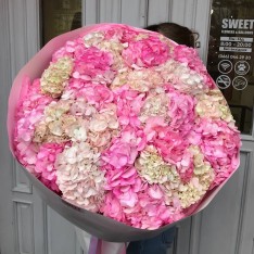 Hydrangea Bouquet – 25 pcs 