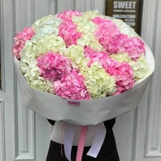 Hydrangea Bouquet – 25 pcs 