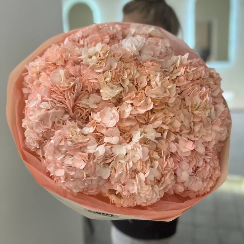 Hydrangea Bouquet – 13 pcs 