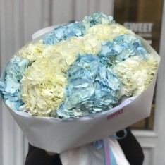 Buchet Hortensia Albă și Albastră – 11 buc 