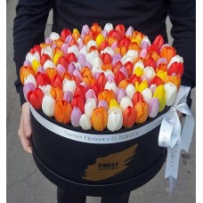 201 Rainbow Tulips Box